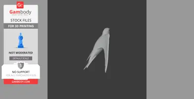 3D model of a streamlined bird, likely an Alpine Swift, designed for 3D printing.