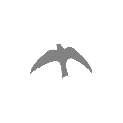 Alpine Swift.stl