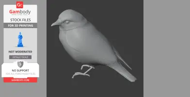 Grey 3D model of a bird, likely a thrush, with detailed feathers and perched legs.