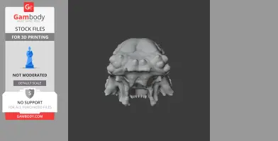 Aachenosaurus Skull - Skull Replica STL