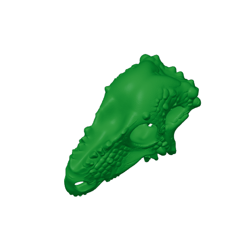 Aachenosaurus Skull.3mf