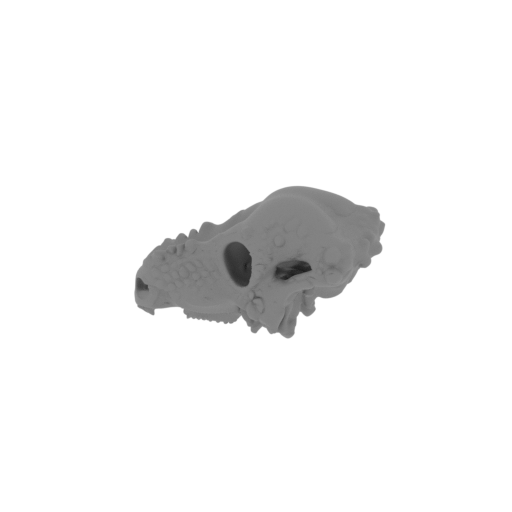 Aachenosaurus Skull.stl