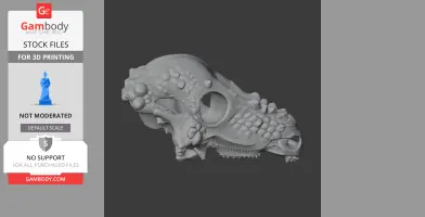 Aachenosaurus Skull - Skull Replica STL