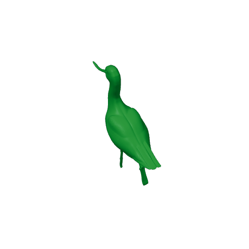 American avocet.3mf