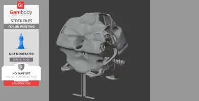 3D model of an Achillesaurus skull on a stand, designed for 3D printing.