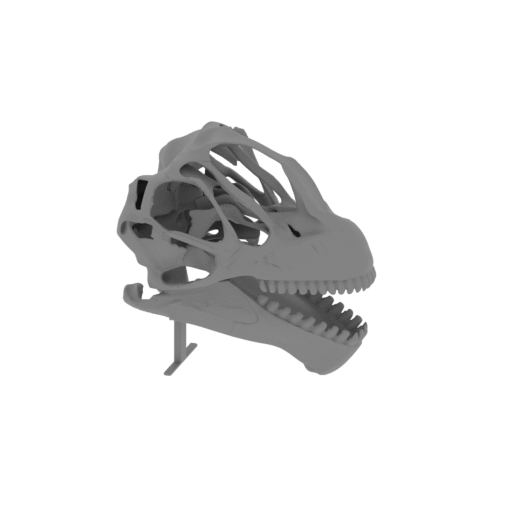 Achillesaurus Skull.stl