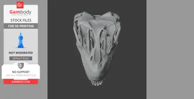 3D model of a detailed dinosaur skull, front view, with intricate bone structures and teeth.