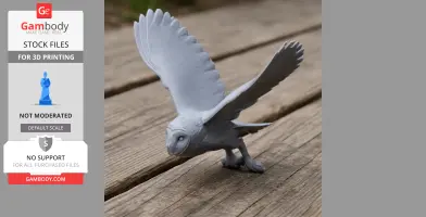 American barn owl - Prehistoric Animal STL