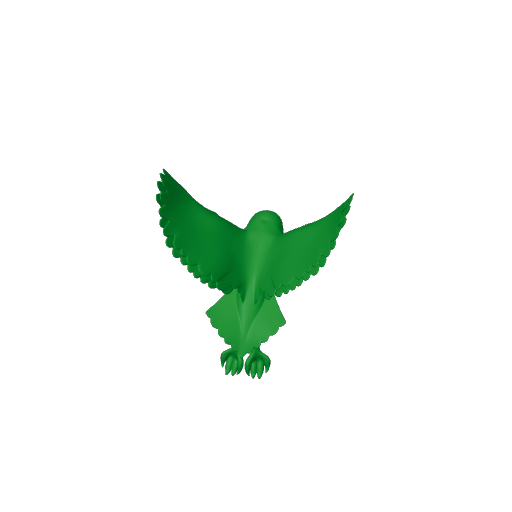 American barn owl.3mf