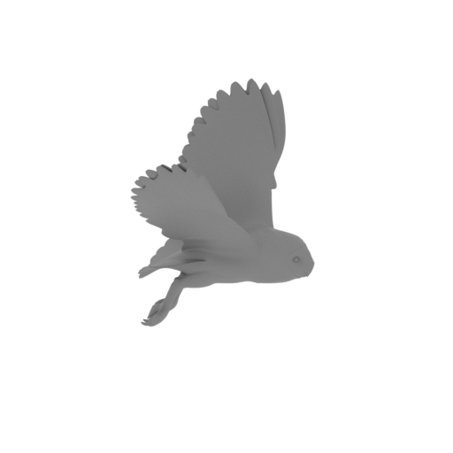 American barn owl.stl