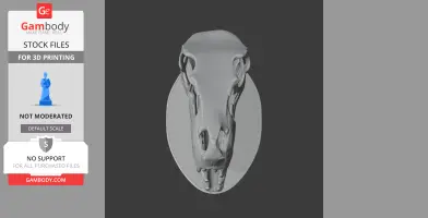 Airakoraptor Skull - Skull Replica STL