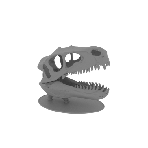 Airakoraptor Skull.stl