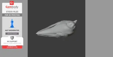 3D model of a streamlined bird, resembling a swift, designed for 3D printing, displayed on a dark backdrop.