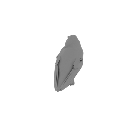 American black swift.stl