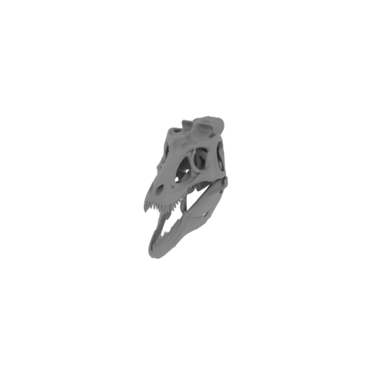 Alamotyrannus Skull.stl