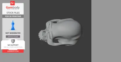 3D render of an Albertonykus dinosaur skull, side view, for 3D printing.