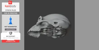 3D model of an Albertonykus skull replica, side view, for 3D printing.