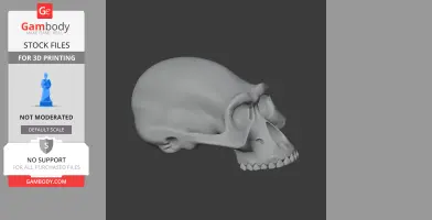 3D model of an Albertonykus skull, side view, detailed for printing, displayed on a dark background.