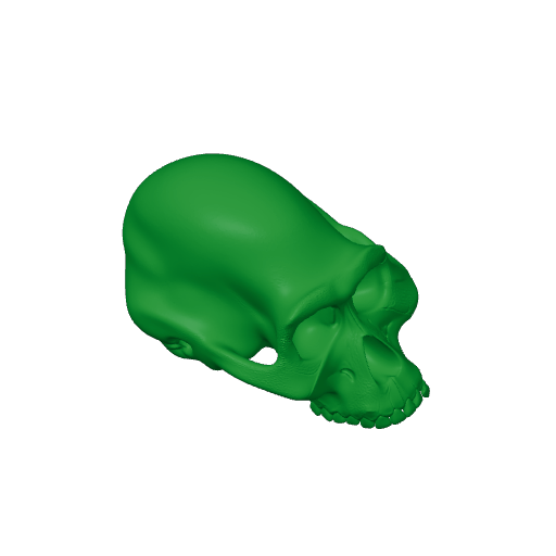 Albertonykus Skull.3mf