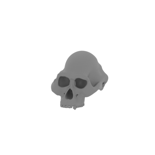 Albertonykus Skull.stl