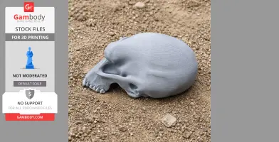 3D-printed Albertonykus skull replica on sandy ground.