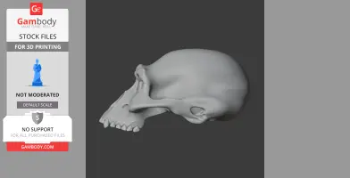 3D render of an Albertonykus skull, side view, for 3D printing.