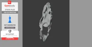 3D model of an Albisaurus skull, showing bone structure and teeth detail, ready for 3D printing.