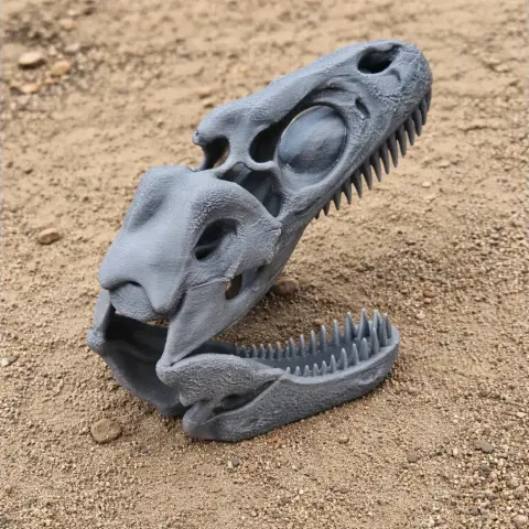 3D-printed dinosaur skull replica with open jaws, displayed on sandy ground.