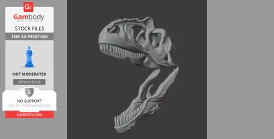 3D model of a dinosaur skull, showing detailed bone structure and teeth.
