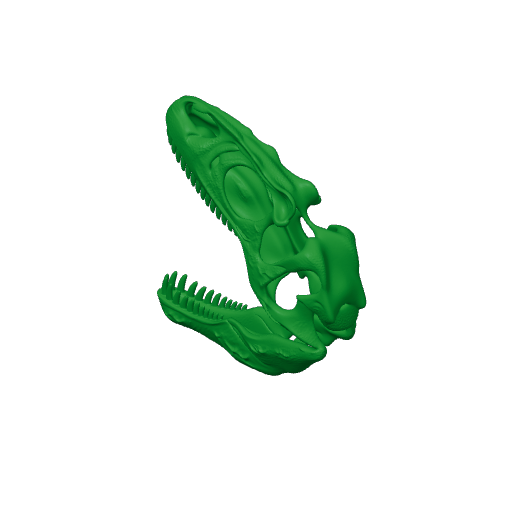 Albisaurus Skull.3mf