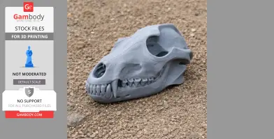 Aliwalia Skull - Skull Replica STL