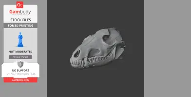 Aliwalia Skull - Skull Replica STL