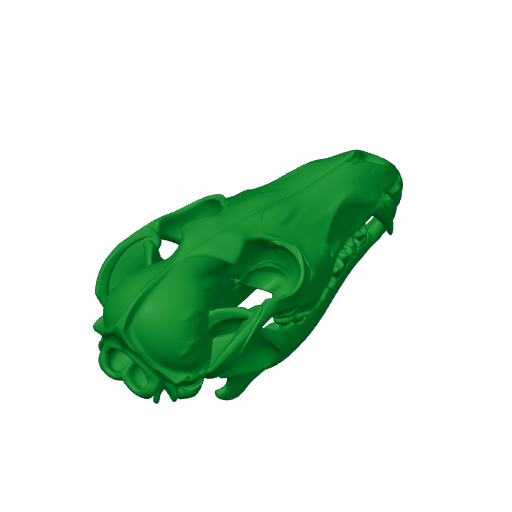 Aliwalia Skull.3mf