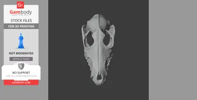 Aliwalia Skull - Skull Replica STL