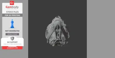 Aliwalia Skull - Skull Replica STL