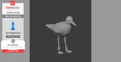 A 3D model of an American golden plover standing with detailed wings and slender legs for 3D printing.