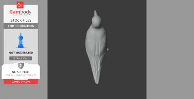 A streamlined 3D model of a prehistoric bird, viewed from above, for 3D printing.