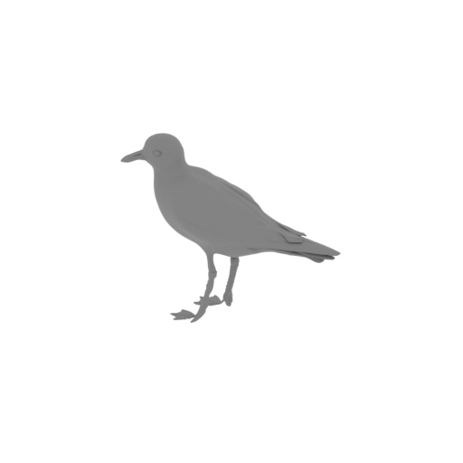 American golden plover.stl