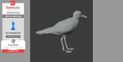 3D model of an American golden plover standing upright, designed for 3D printing.