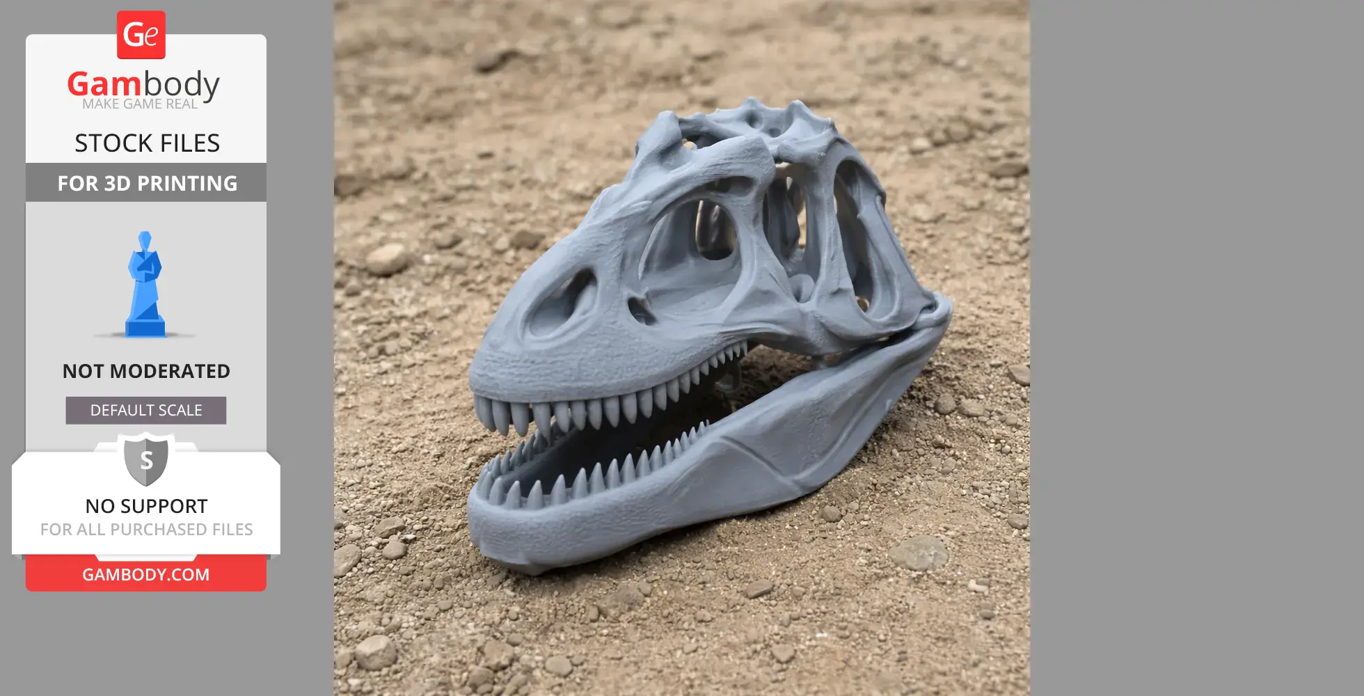 3D-printed Alvarezsaurus skull replica in gray, displayed on textured ground.