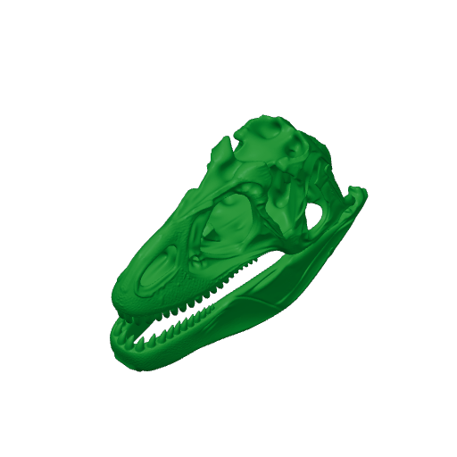 Alvarezsaurus Skull.3mf