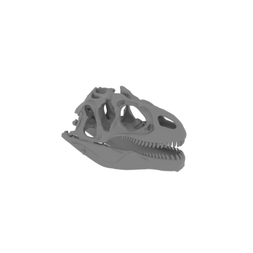 Alvarezsaurus Skull.stl