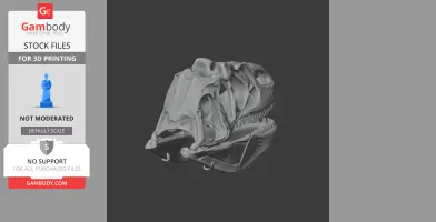 3D model of an Alvarezsaurus skull, detailed with open jaw, designed for 3D printing.