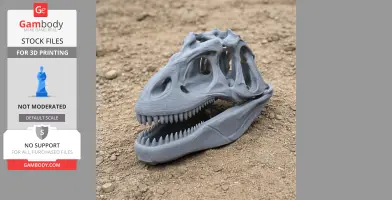 3D-printed Alvarezsaurus skull replica in gray, displayed on textured ground.