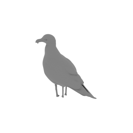 American herring gull.stl