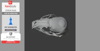 Amargatitanis Skull - Skull Replica STL
