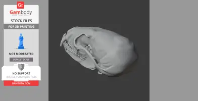 Amargatitanis Skull - Skull Replica STL