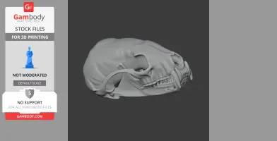 Amargatitanis Skull - Skull Replica STL