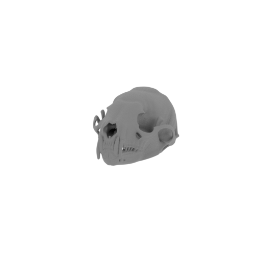 Amargatitanis Skull.stl