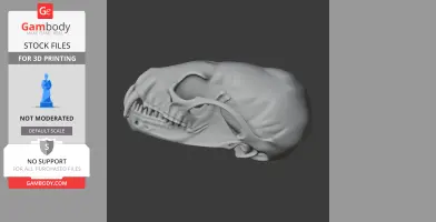 Amargatitanis Skull - Skull Replica STL